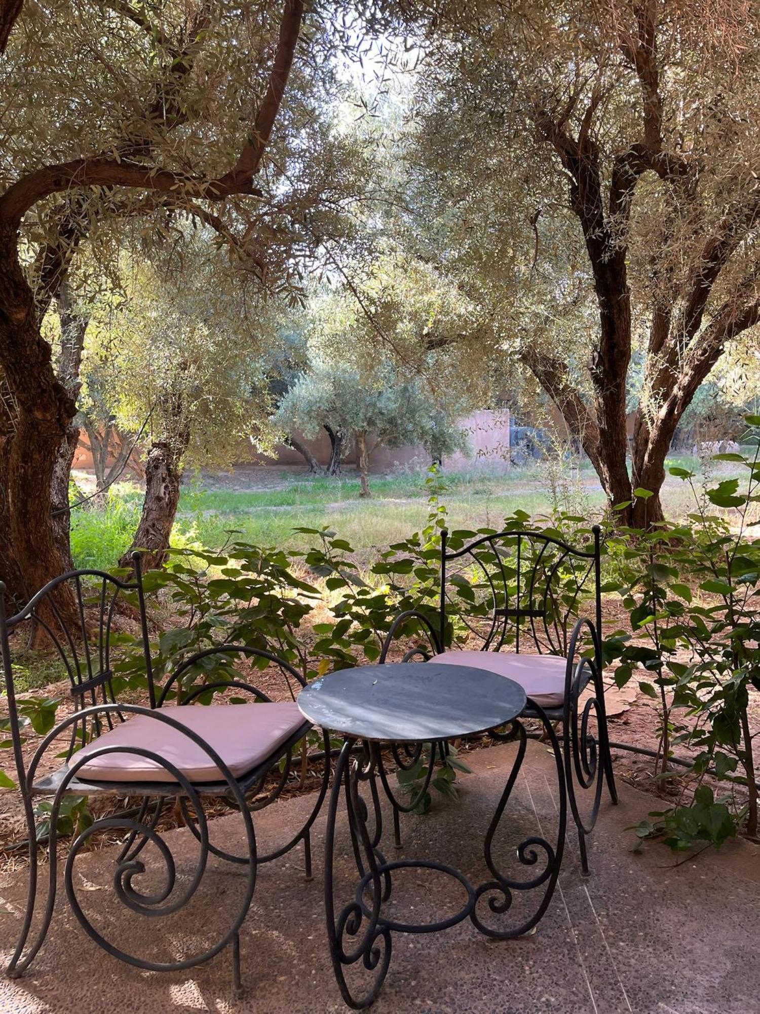 L'oliveraie Jnane Zitoune Hotel