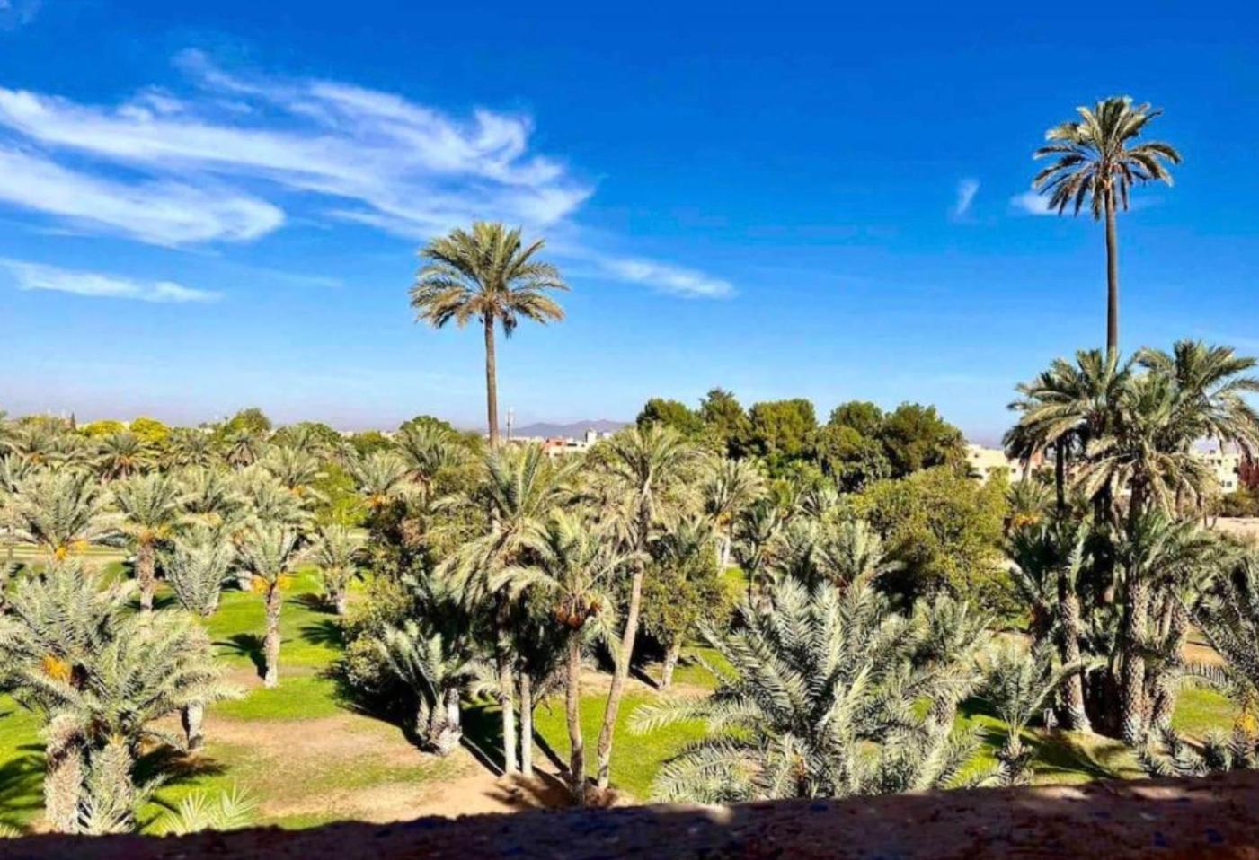 Chez Amazigh * Marrakesh