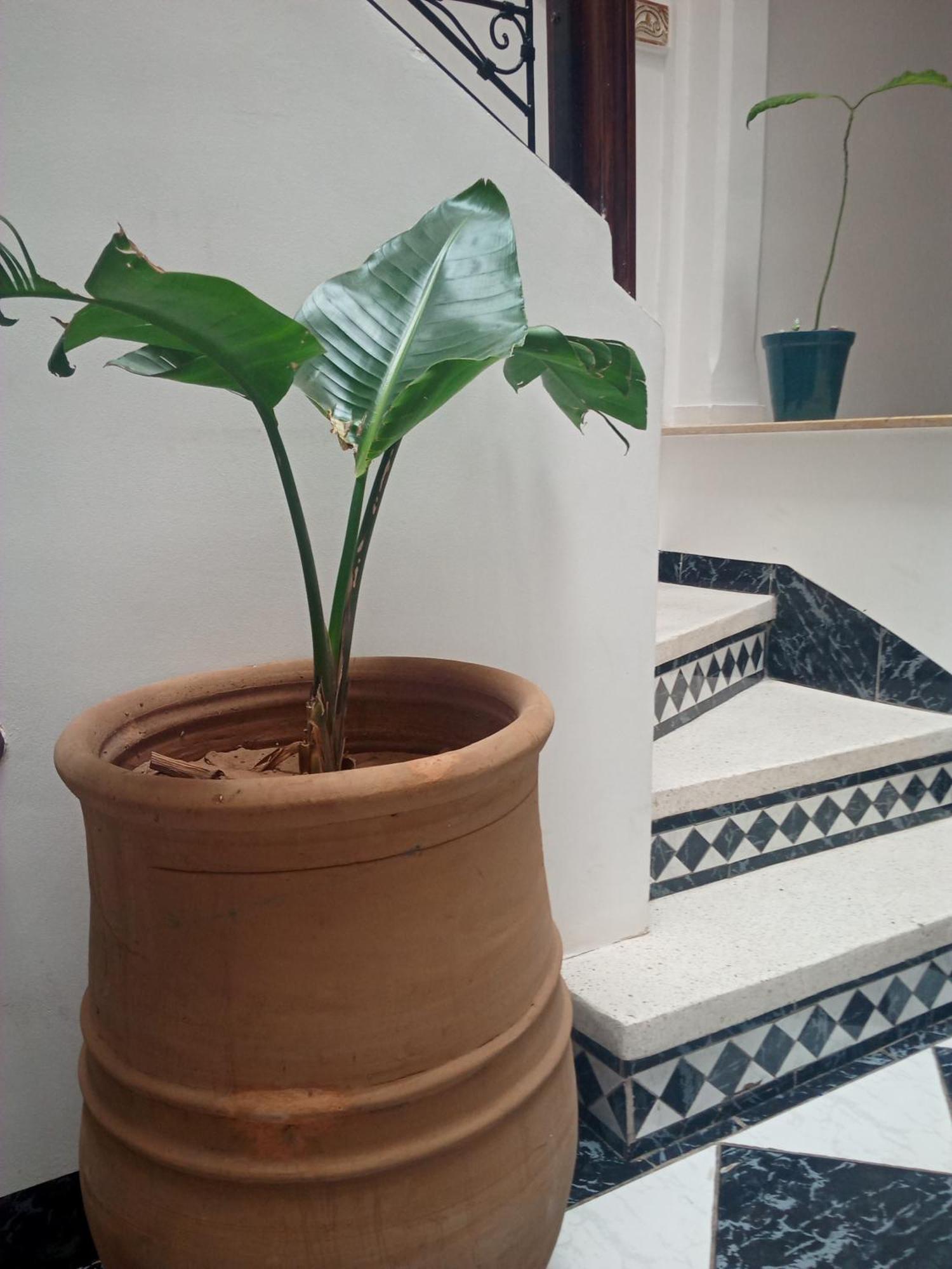 Vakantiehuis Sun And Swim Marrakech *