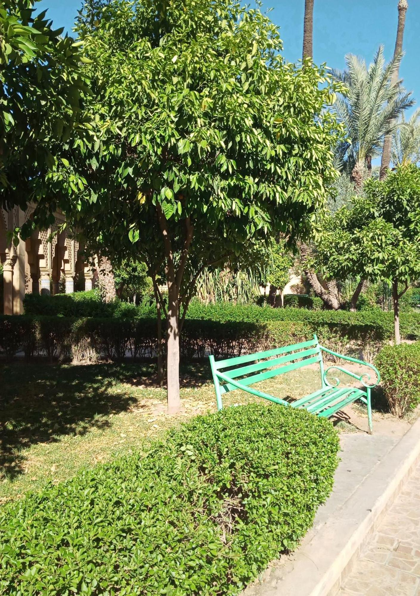 Sun And Swim Marrakech Vakantiehuis Marrakesh