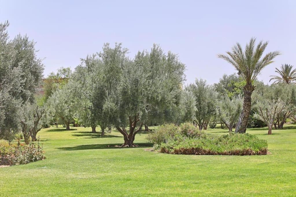 Atlas Mountain Escape: Pool, Garden & Paradise Villa Marrakesh