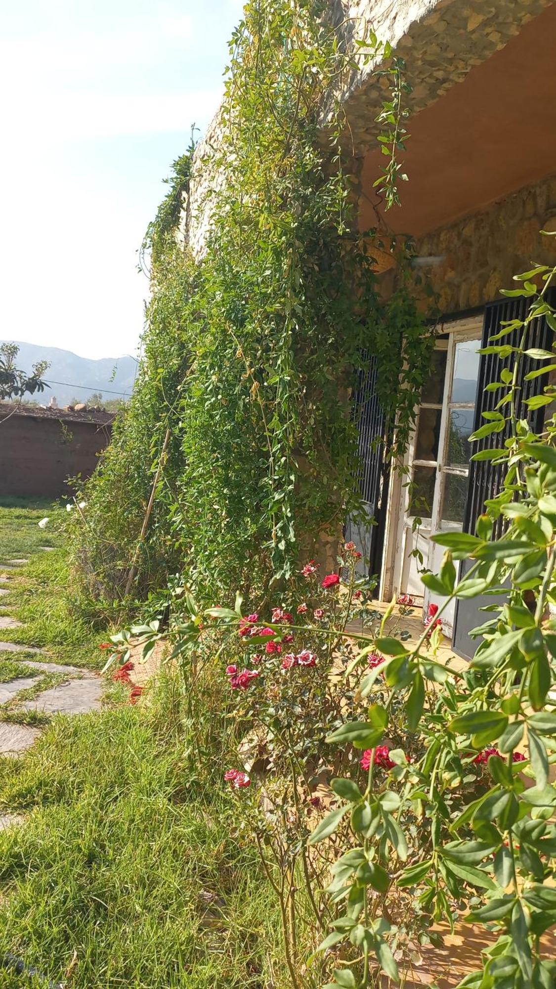 Ferme Tibrijine Chalet Marrakesh
