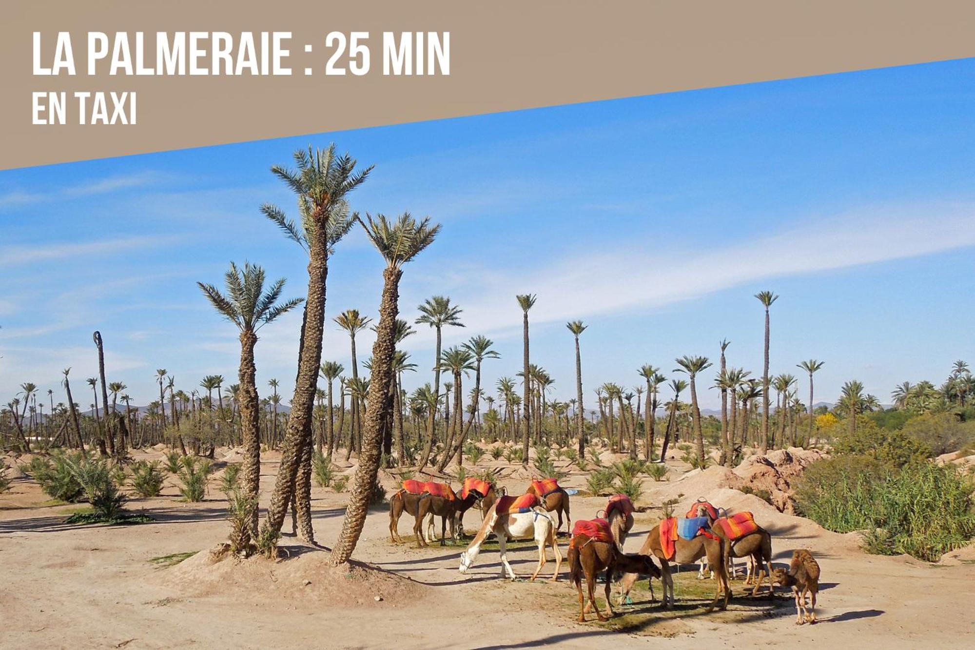 Magnifique Moderne De 2 Avec Piscine A 10 Min Du Centre De Marrakech Marrakesh