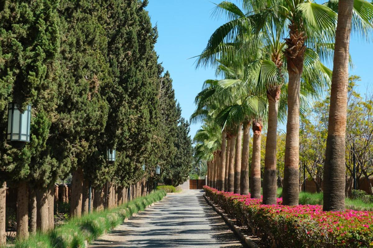 Jenaman * Marrakesh