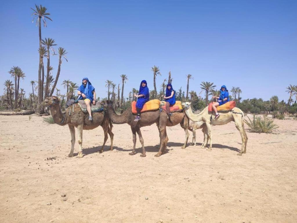 Riad Hanafi * Marrakesh