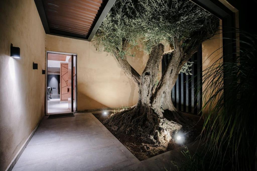 Architect-designed With A View Of The Atlas Marrakesh