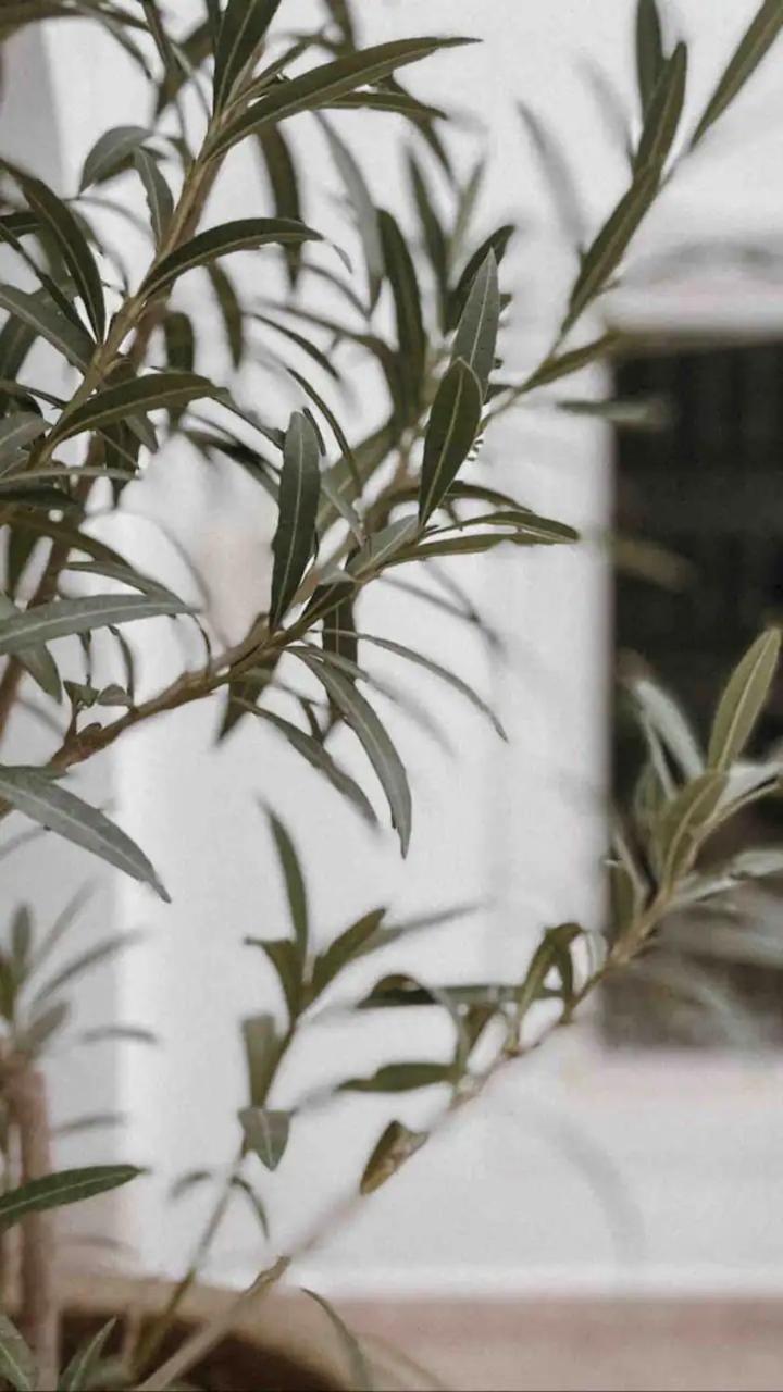Accommodatie bij particulieren Kreme Marrakesh