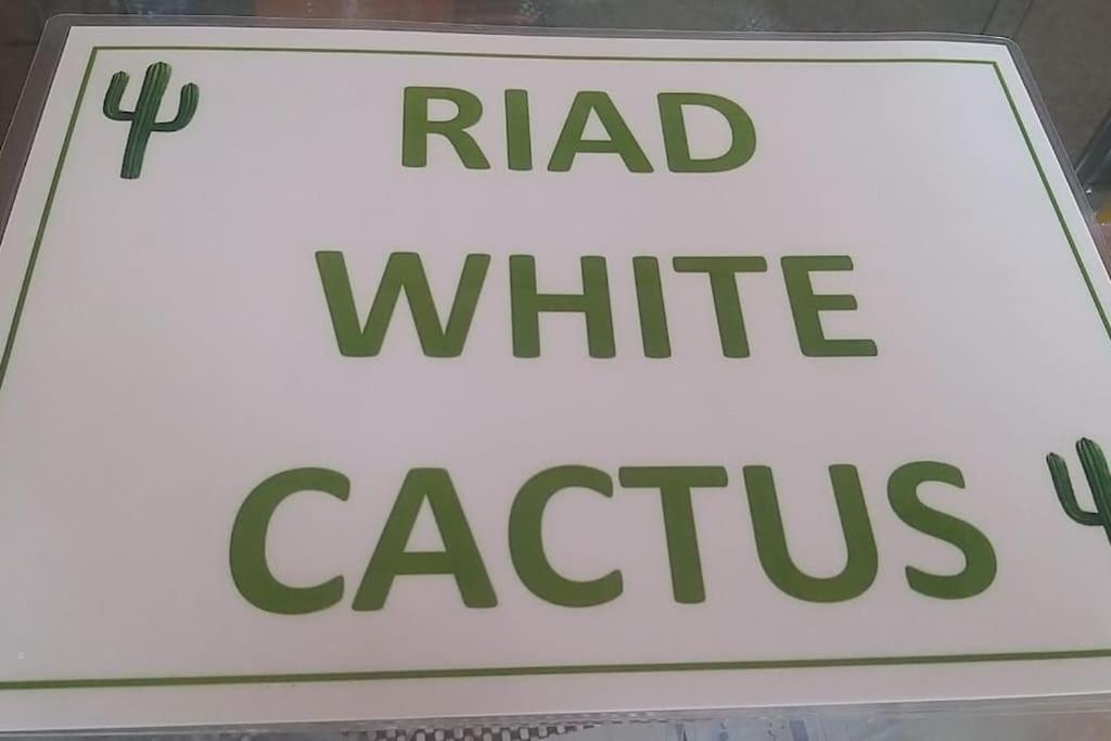 White Cactus Marrakesh