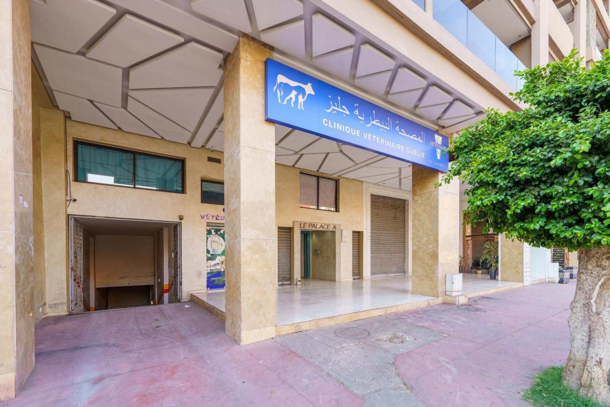 New ! Darsun - Terrasse - Fibre - Parking By Darlease Appartement