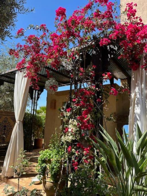 Les Lauriers, 4 Suites, Piscine Privee, Petit Dejeuner Compris Marrakesh