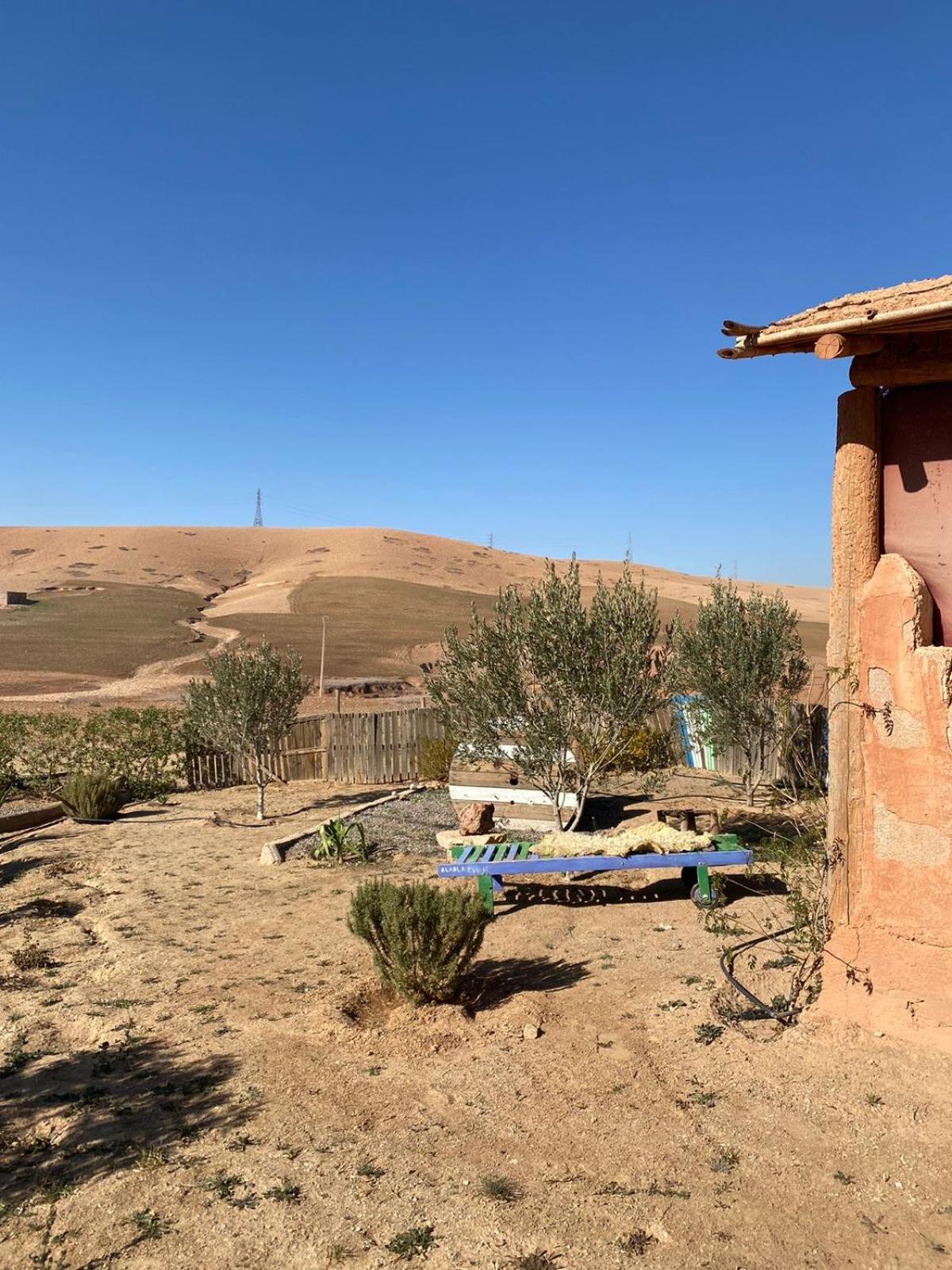 Les Cavaliers Chez Yassine Farm stay