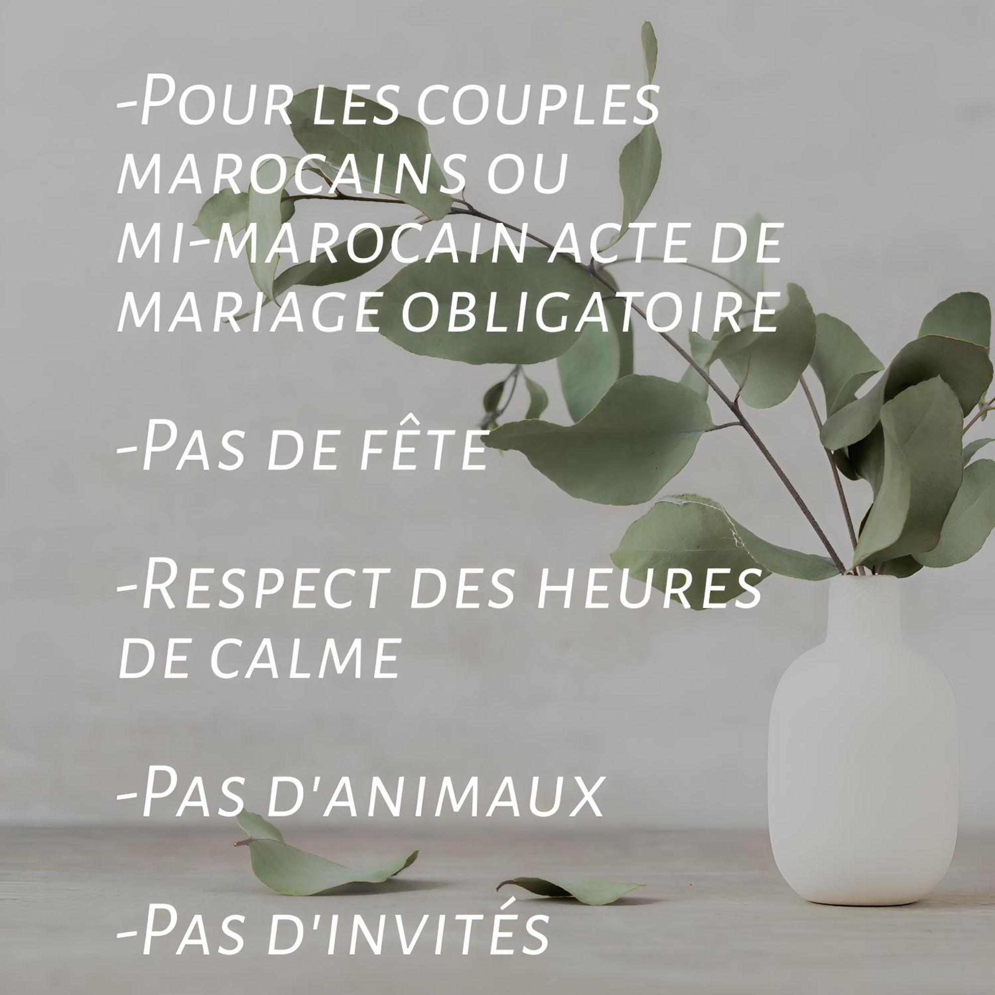 Yacout Majorelle Appartement *