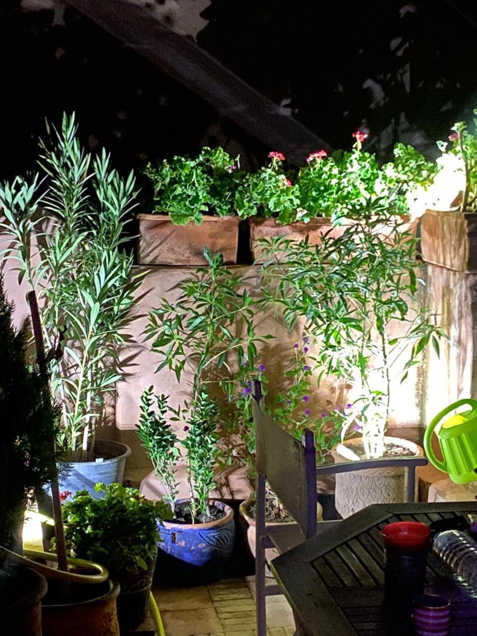 Cosy Palmeraie Atlas Golf Calme Et Securisee Avec 2 Piscines