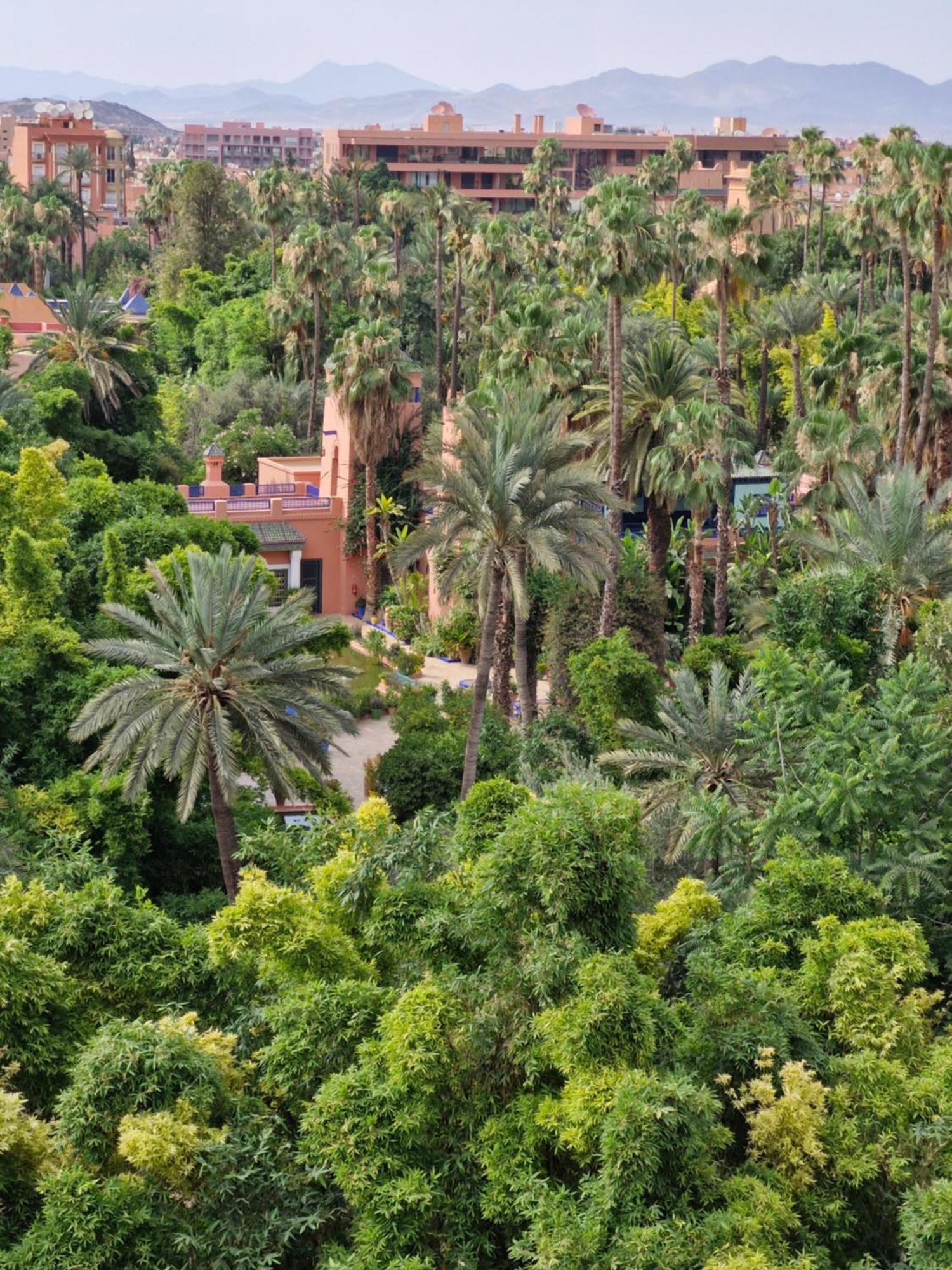 Luxueux Duplex Rooftop En Plein Coeur De Majorelle * Marrakesh