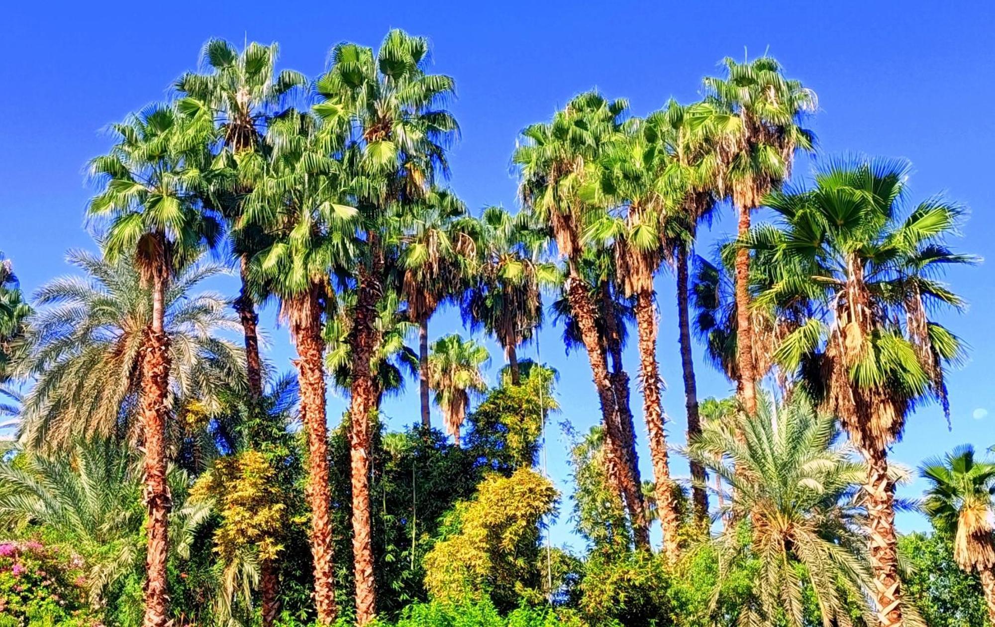 Apartamento Superbe Avec Vue Sur Les Jardins Majorelle, Face Au Musee Ysl, Rue Yves Saint Laurent