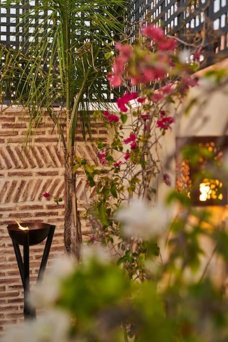 Miloud En Exclusivite 10 P Au Coeur De La Medina Marrakesh
