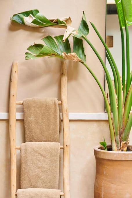 Algora En Exclusivite 13 P Au Coeur De La Medina Marrakesh
