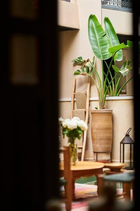 Algora En Exclusivite 13 P Au Coeur De La Medina Riad