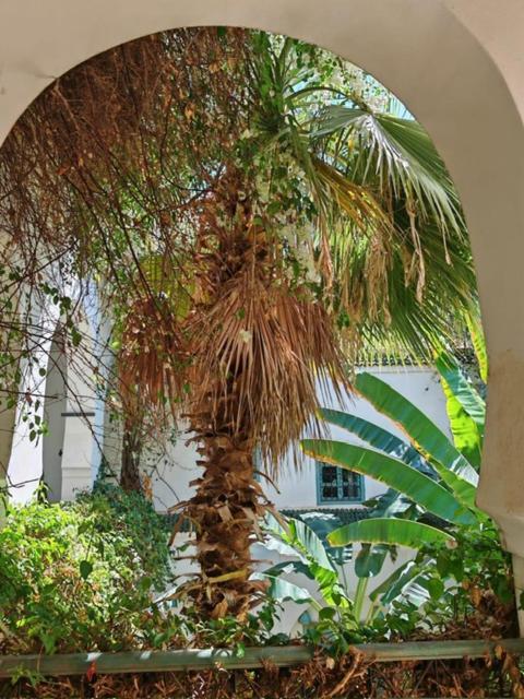 Maison Bounouar Pensión