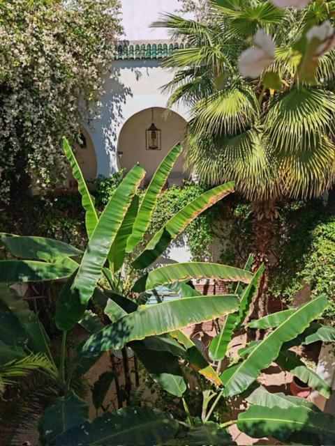 Maison Bounouar Maison d'hôtes Marrakesh