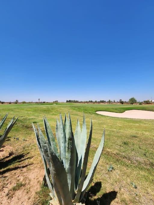 Luxury With Private Pool At Samanah Golf