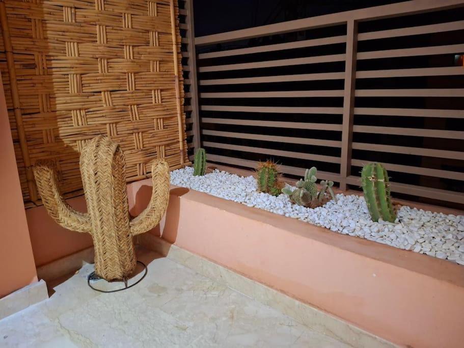 Hypercentre, Cosy, 2 Piscines, Sauna, Hammam Appartement