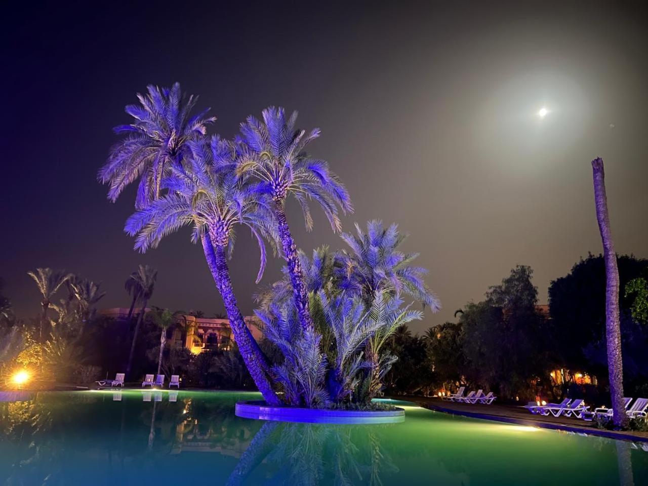 Palmeraie 3 Vue Piscine Et Jardin Ferienhaus