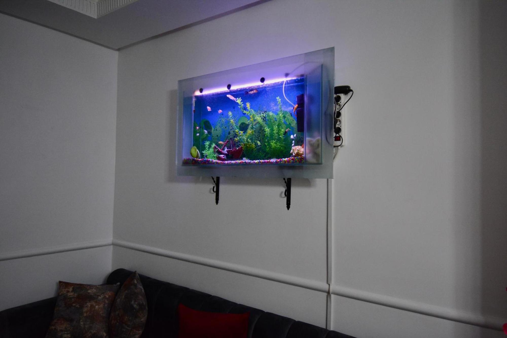Appartement De Luxe *