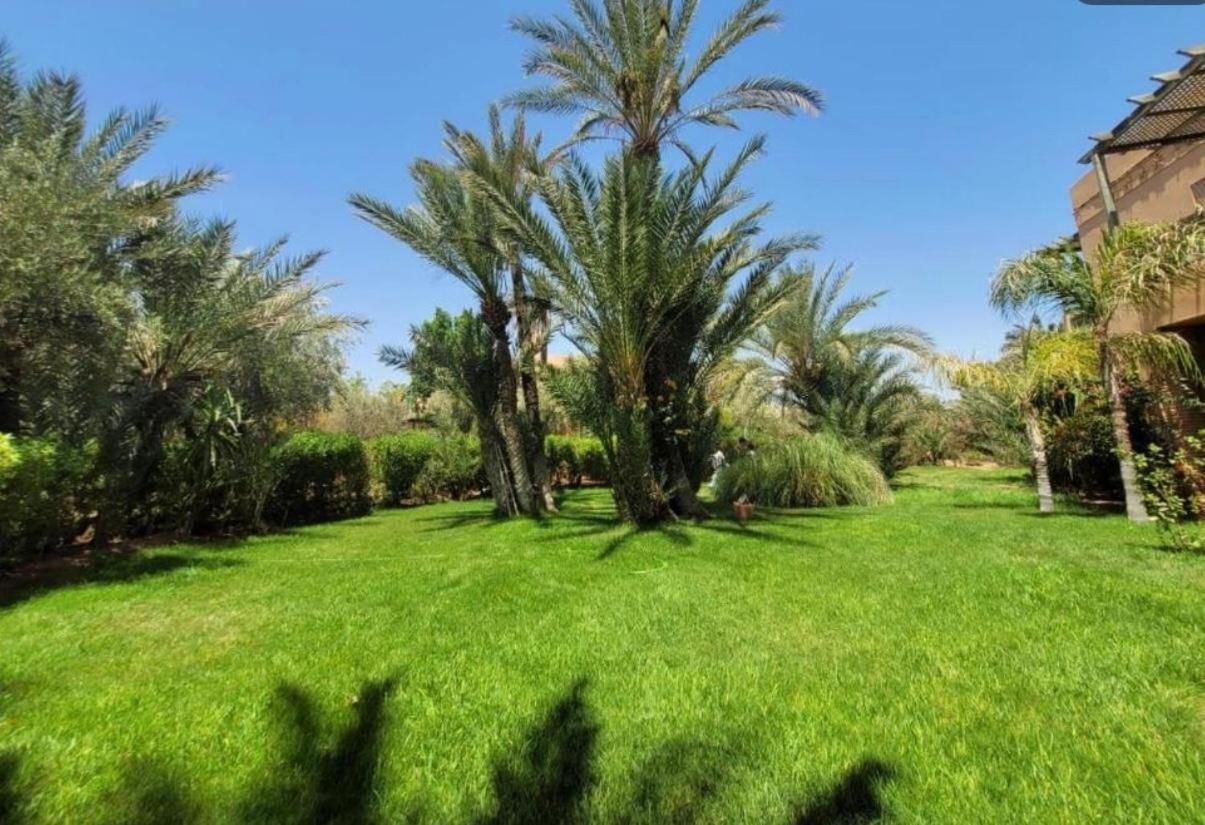 Ferienhaus Palmeraie 3 Vue Piscine Et Jardin *