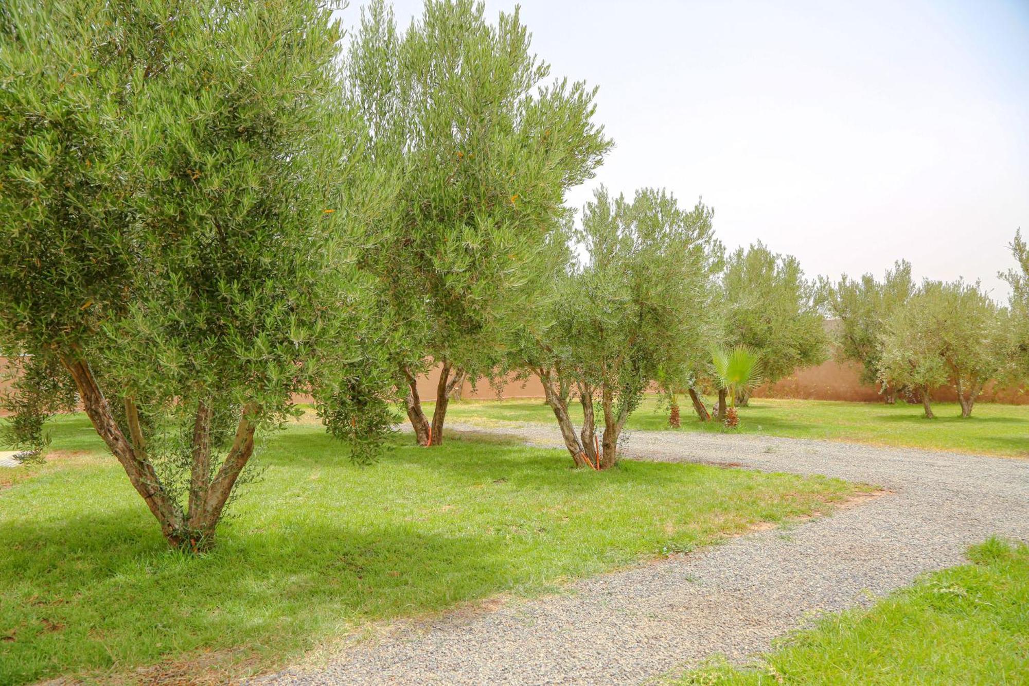 Domaine Dar Jmel & Dar Abi Samama Marrakesh