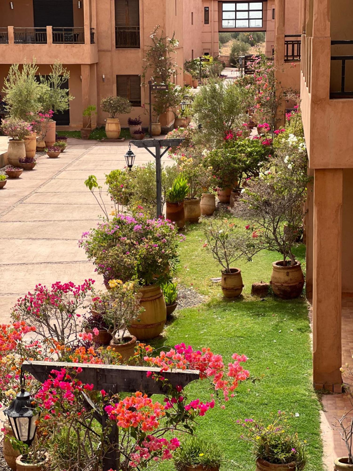 Petit Bout De L Atlas 2ch Terrasse Piscine Marrakesh
