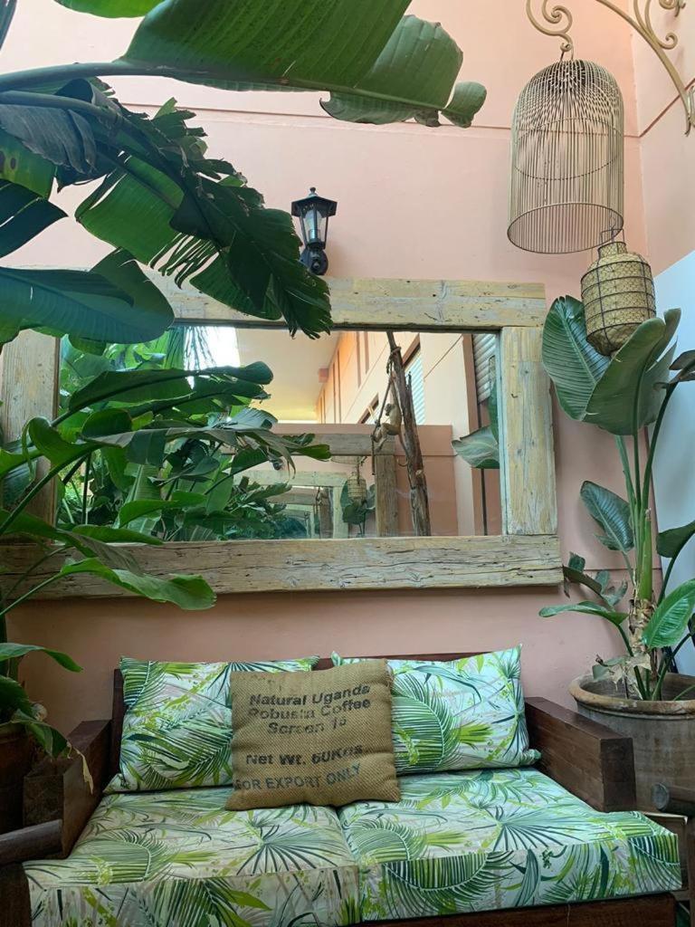 Beau Duplex Avec Terrasse Appartement