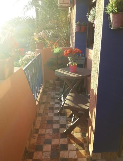Confortable Au Centre Majorelle *