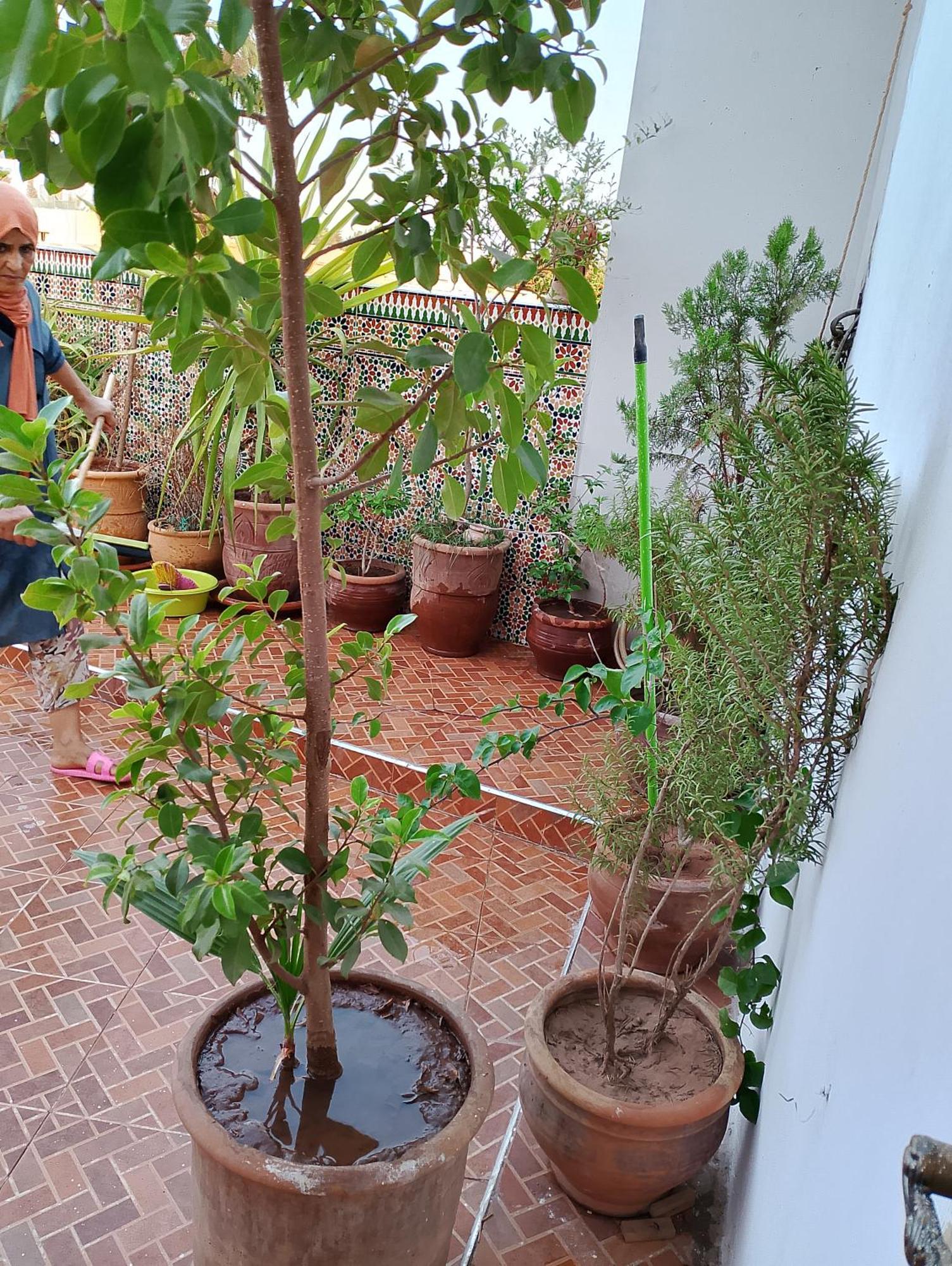 Riad Bab Doukkala Marrakesh