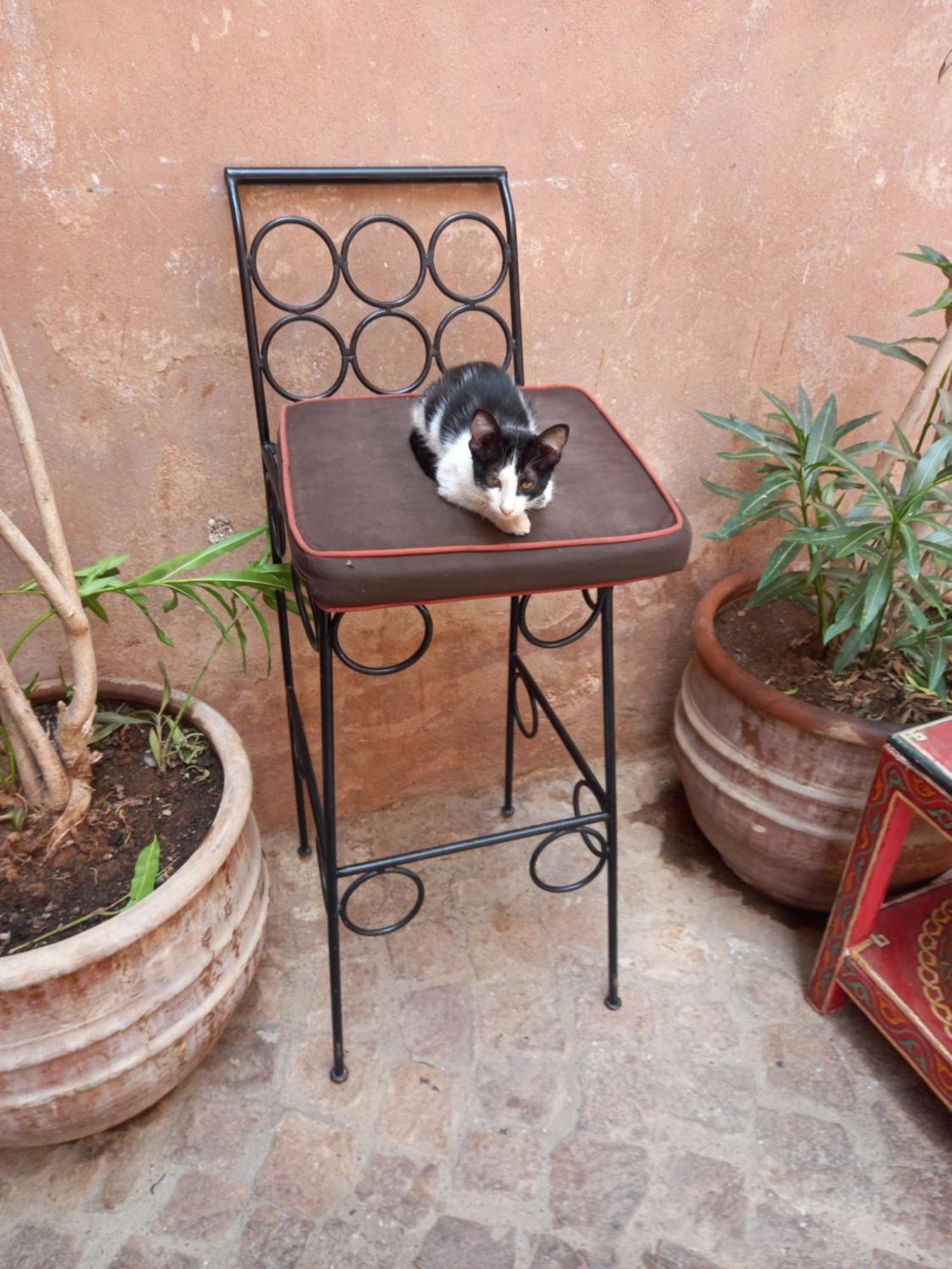 Bed and breakfast Juli's Marrakesh