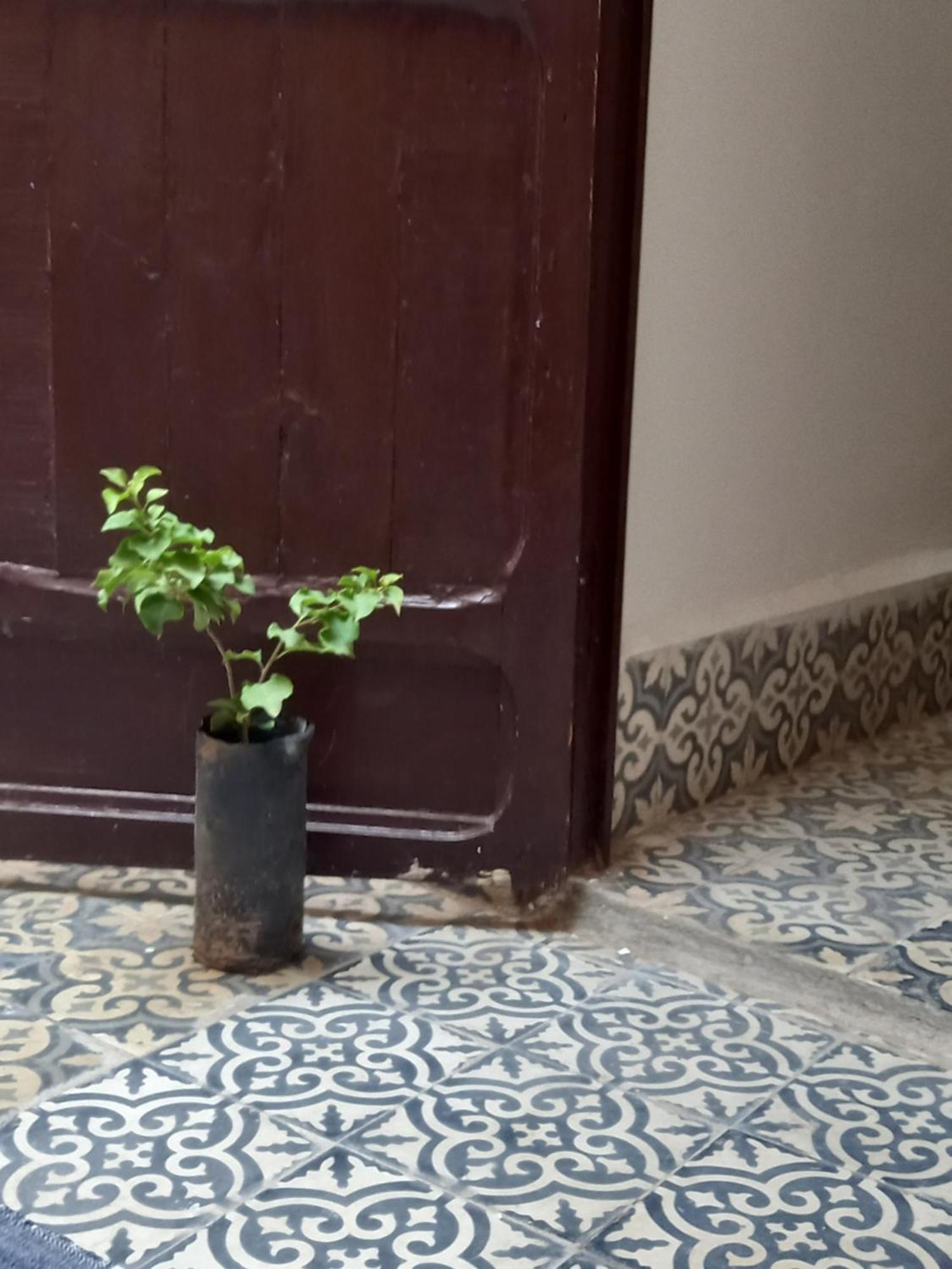Juli's Bed and breakfast Marrakesh