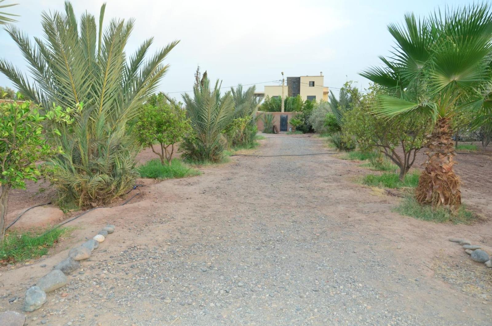 Dar Marjana Casa vacanze *