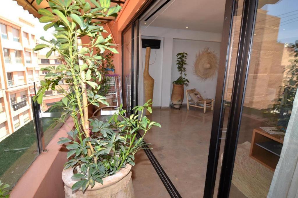 3chambres Gueliz Appartement