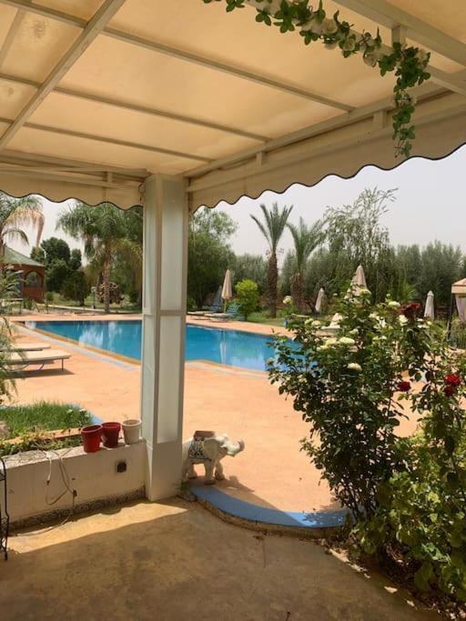 Dar Saada *