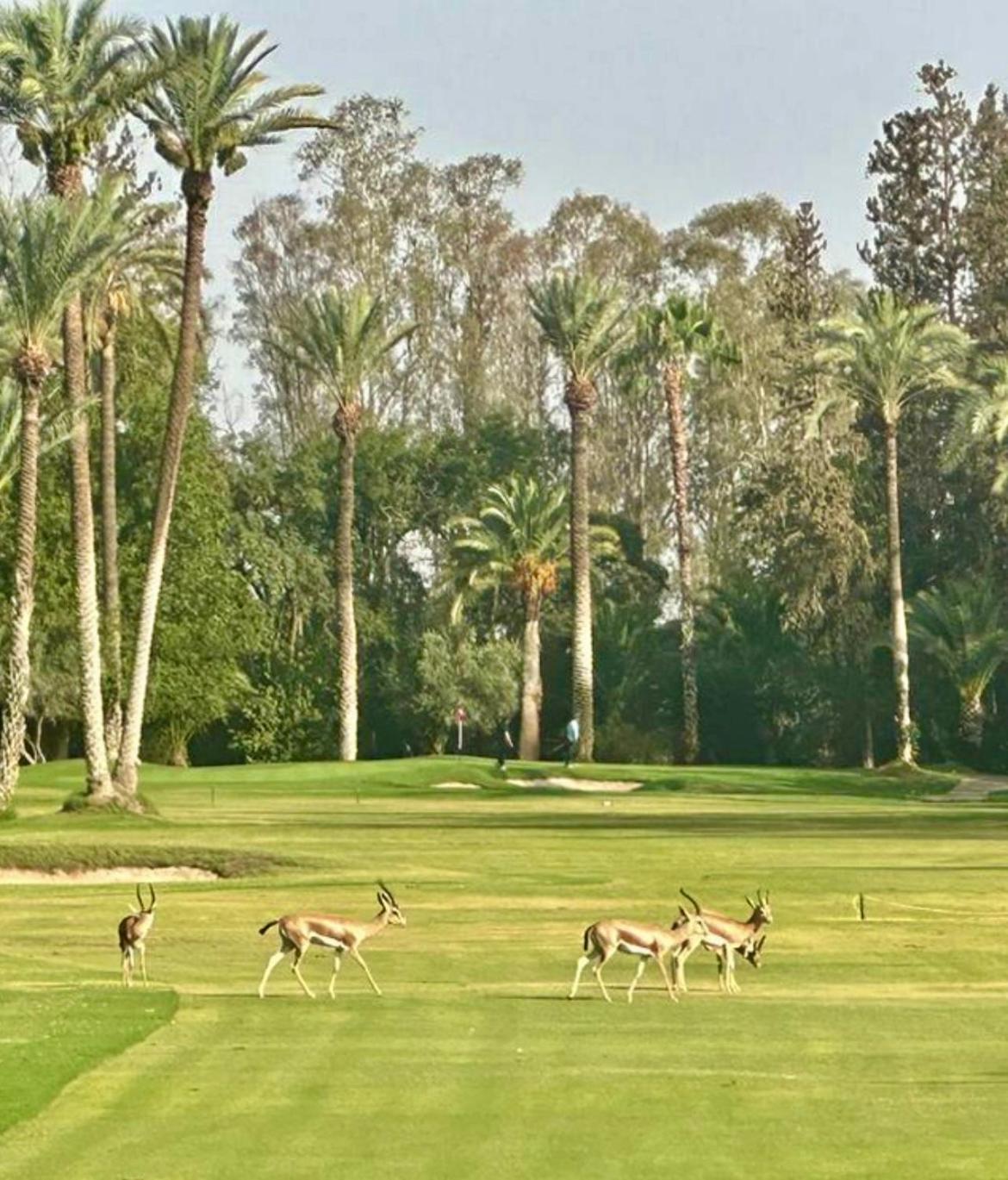 Zouhour Pensión 3*