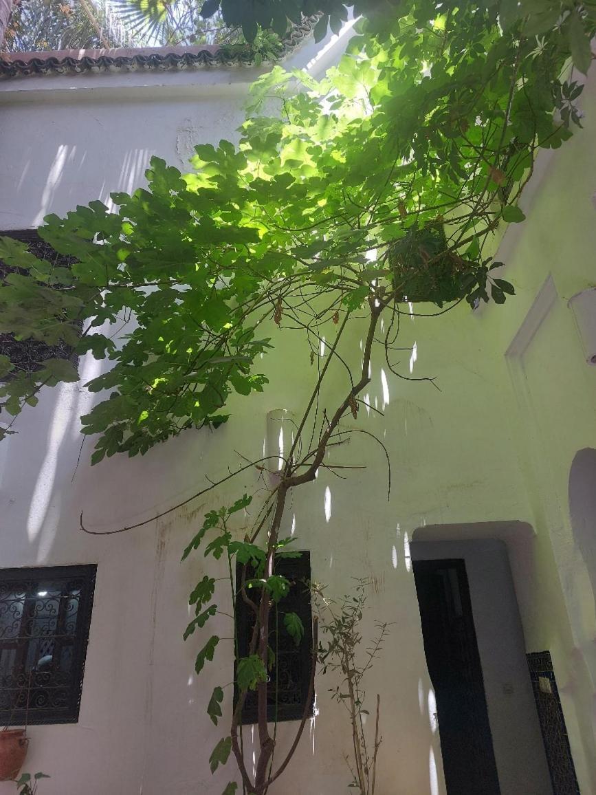 Casa vacanze Dar Lalla Fatna *