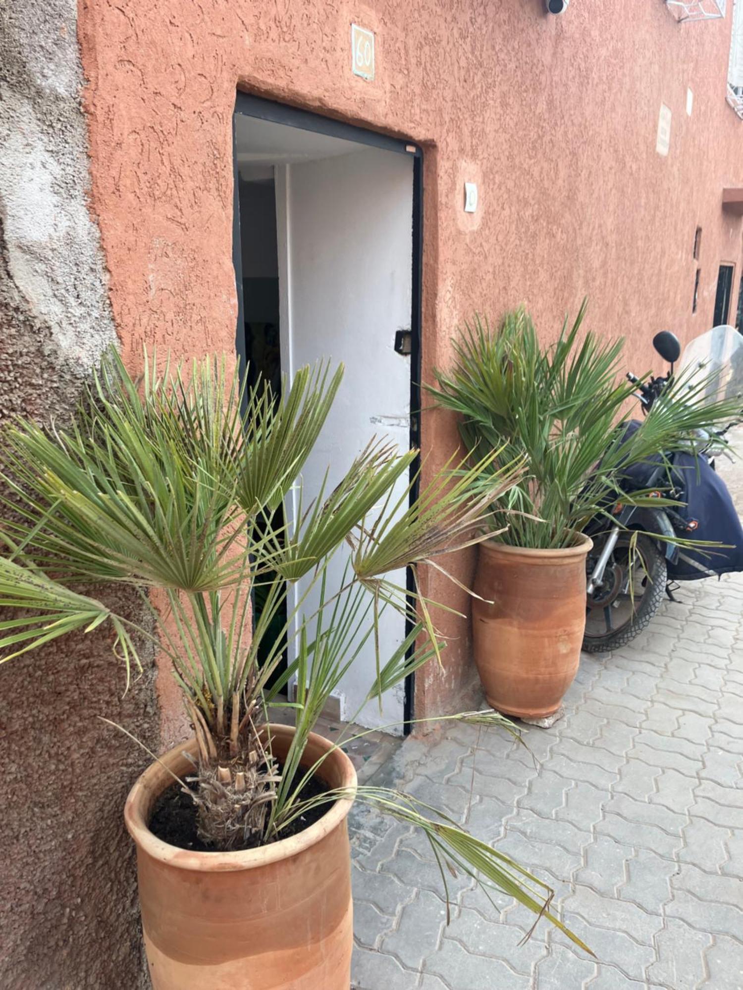 Gasthuis Riad Royal *