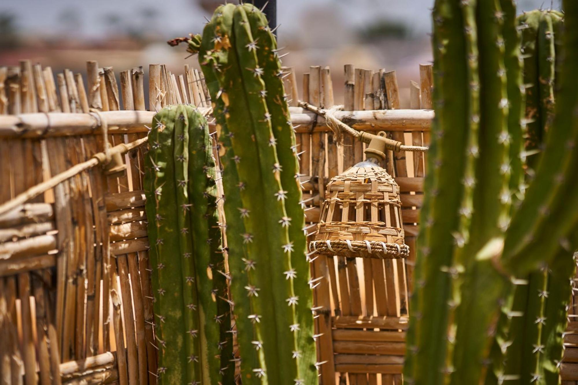 Vakantiehuis Kbala Marrakesh