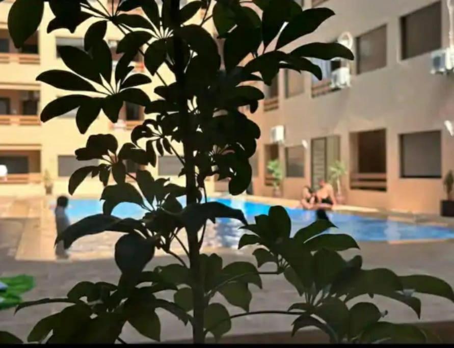 De Luxe Gueliz Appartement *