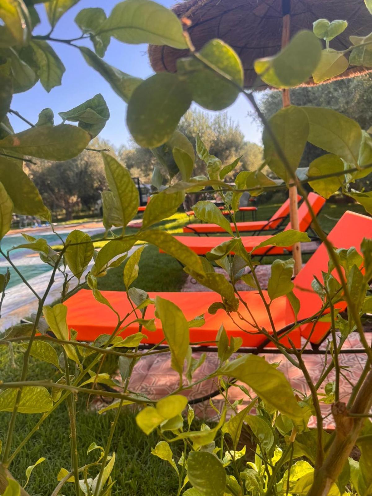 Eden Palace Villa *