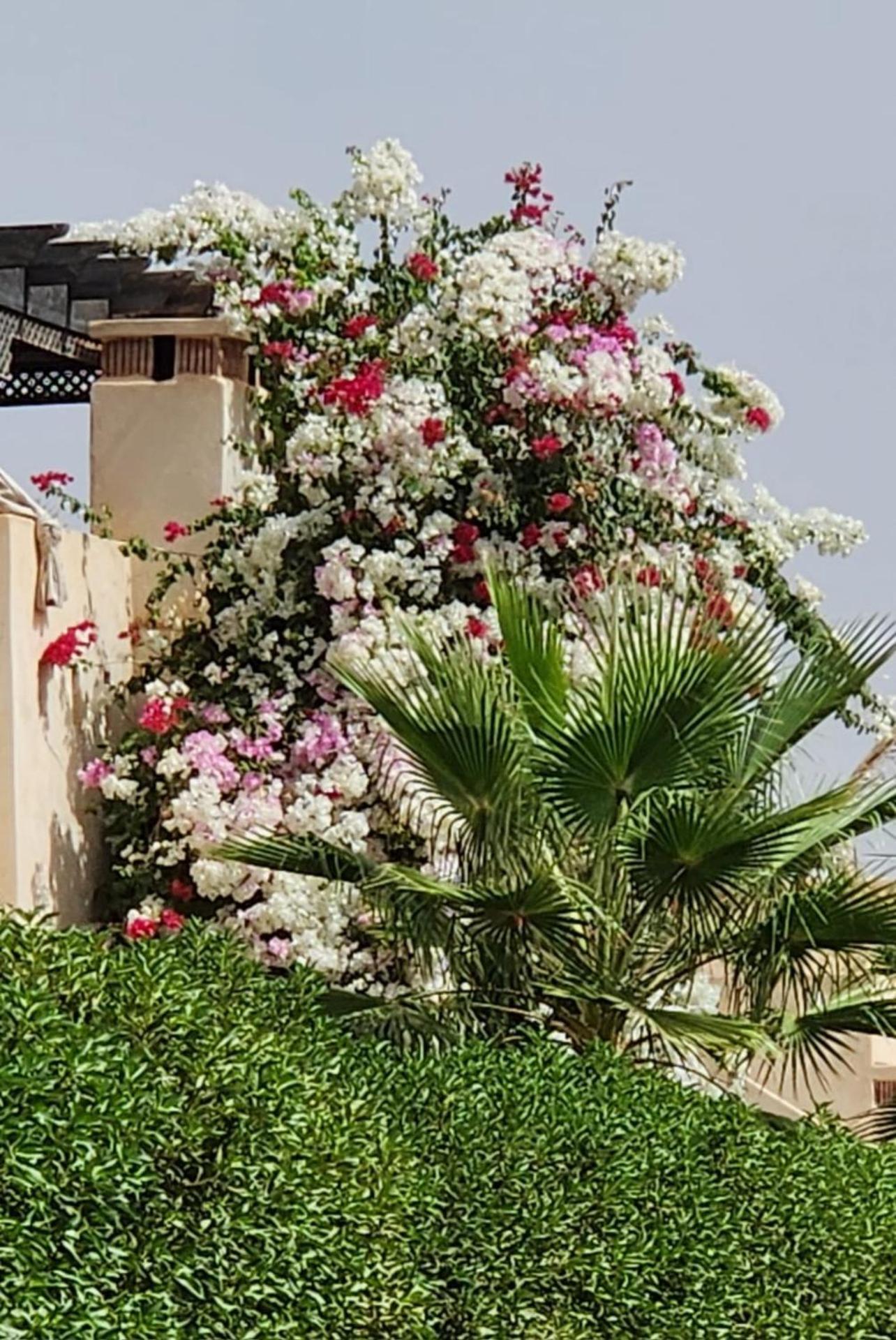 Villa La Rose Des Sables