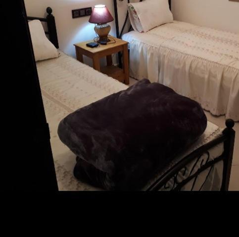 Dar Albidawi Guest house *