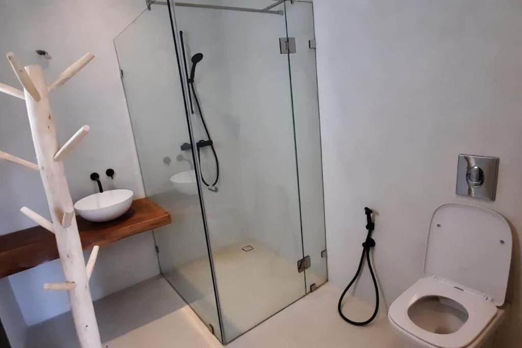 1 Palmeria Villa