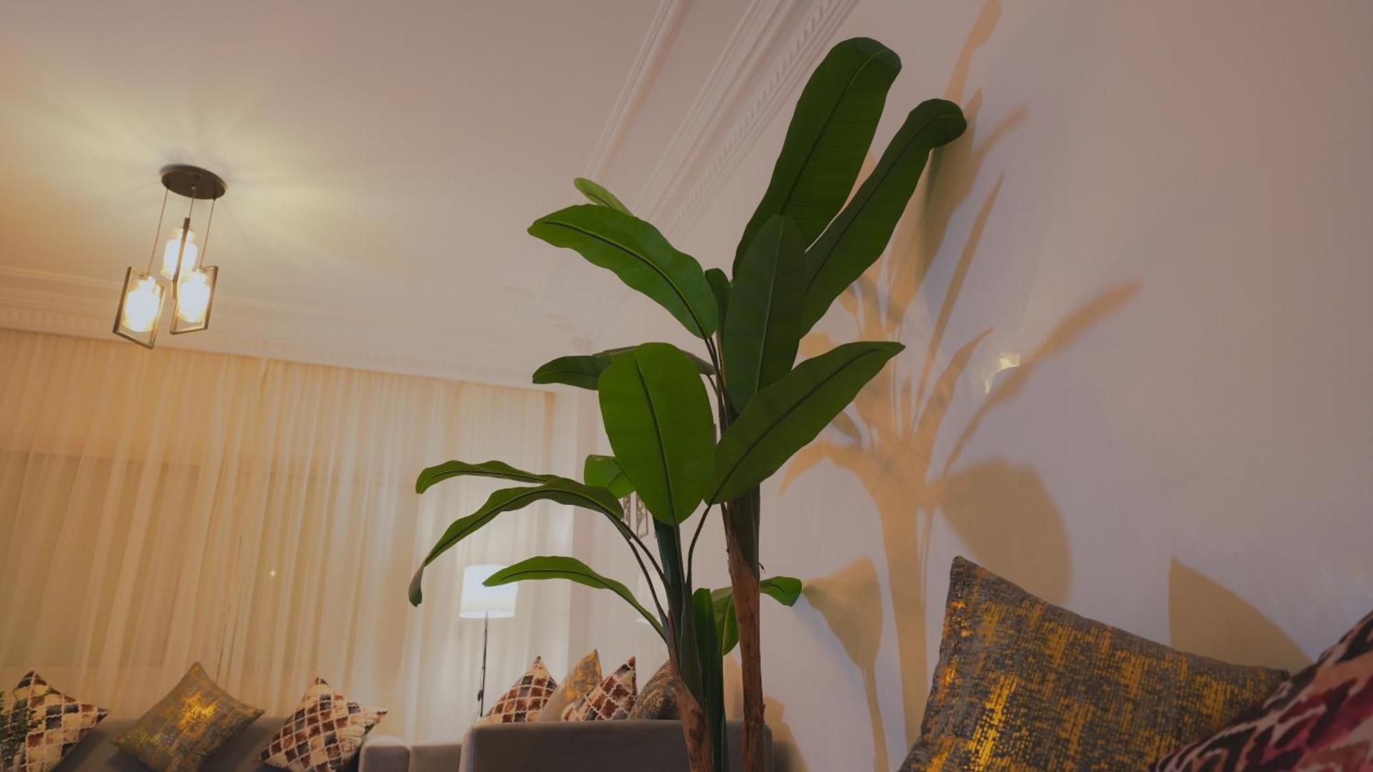 Modern In Centre Of Marrakech For Friends & Families Appartement *