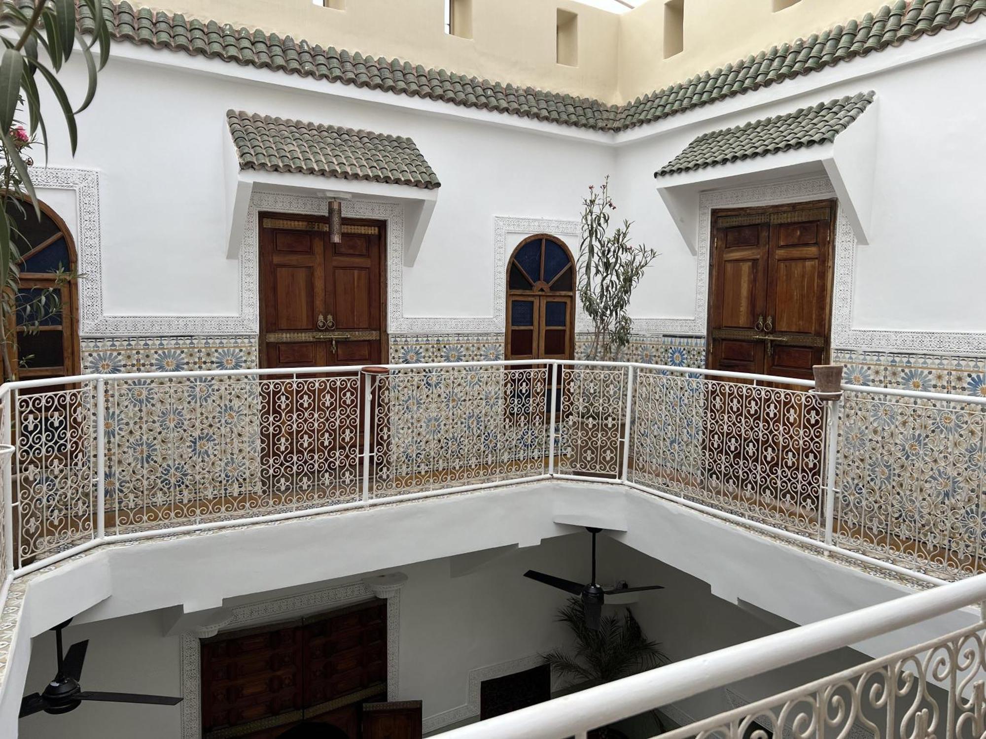 Panthera, Medina Villa *